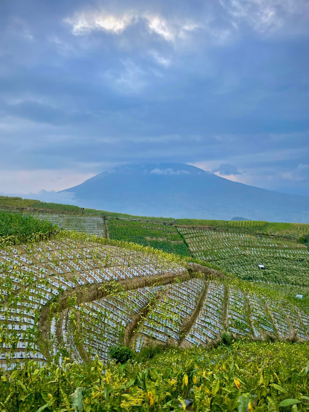 Circuit Indonezia | 14 zile/11 nopți – Avion | 2026 – Java & Insula Bali