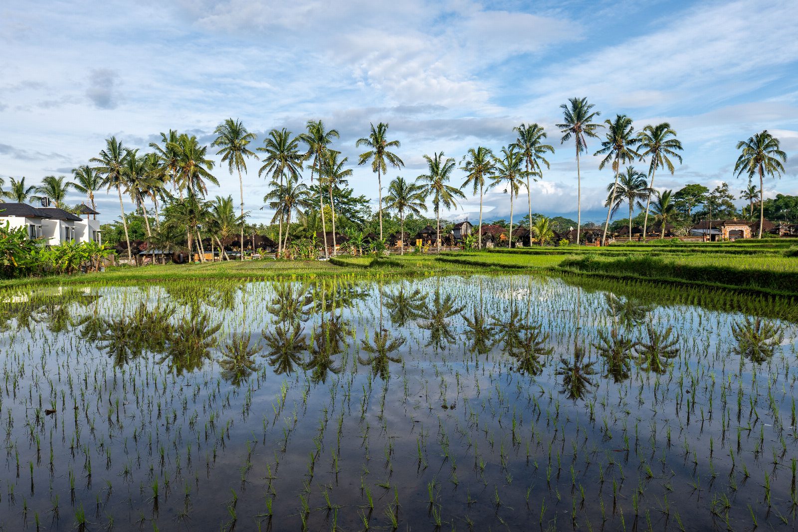 Circuit Indonezia | 14 zile/11 nopți – Avion | 2026 – Java & Insula Bali