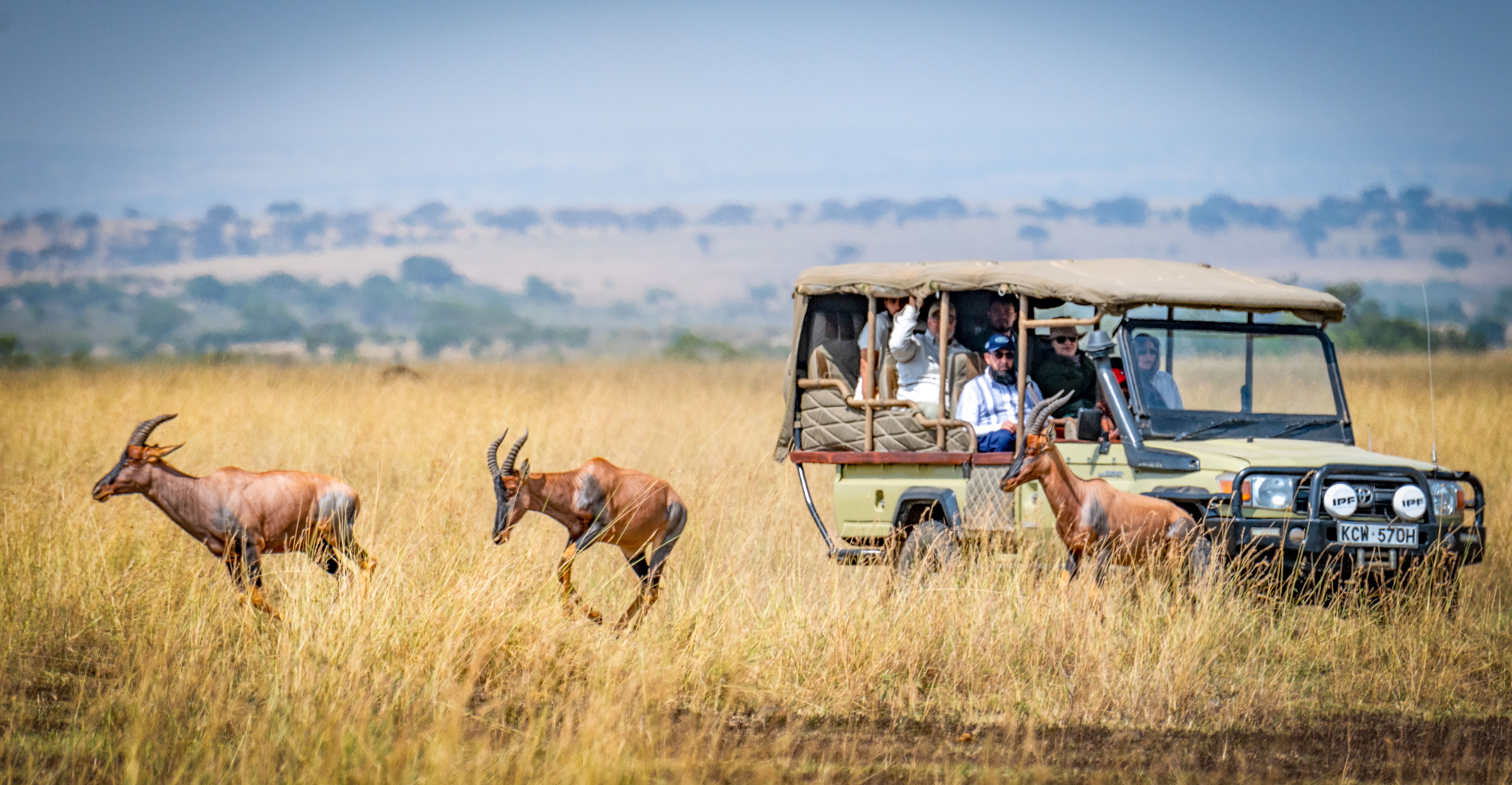 Kenya — safari și plajă Mombasa/Revelion